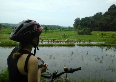 Bali Village Cycling Tour - Gallery 2211193