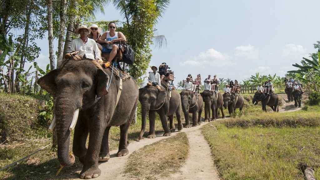 Desa Wisata di Indonesia Naik Gajah